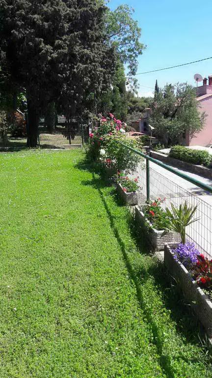 Apartmaji, Sobe - Obzidje Ξενοδοχείο Πιράν Εξωτερικό φωτογραφία