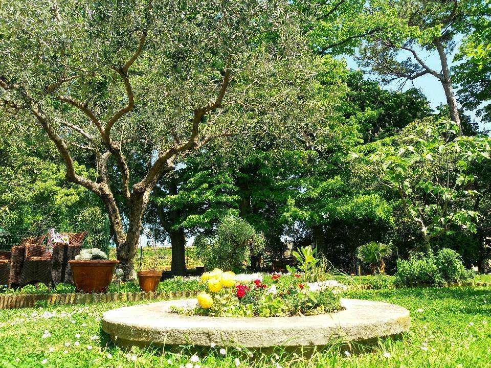 Apartmaji, Sobe - Obzidje Ξενοδοχείο Πιράν Εξωτερικό φωτογραφία